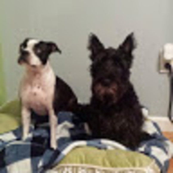 Meet your Posher, Marilyn - Picture 1 of 1